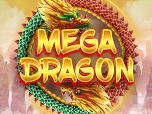 Mega Dragon game cover
